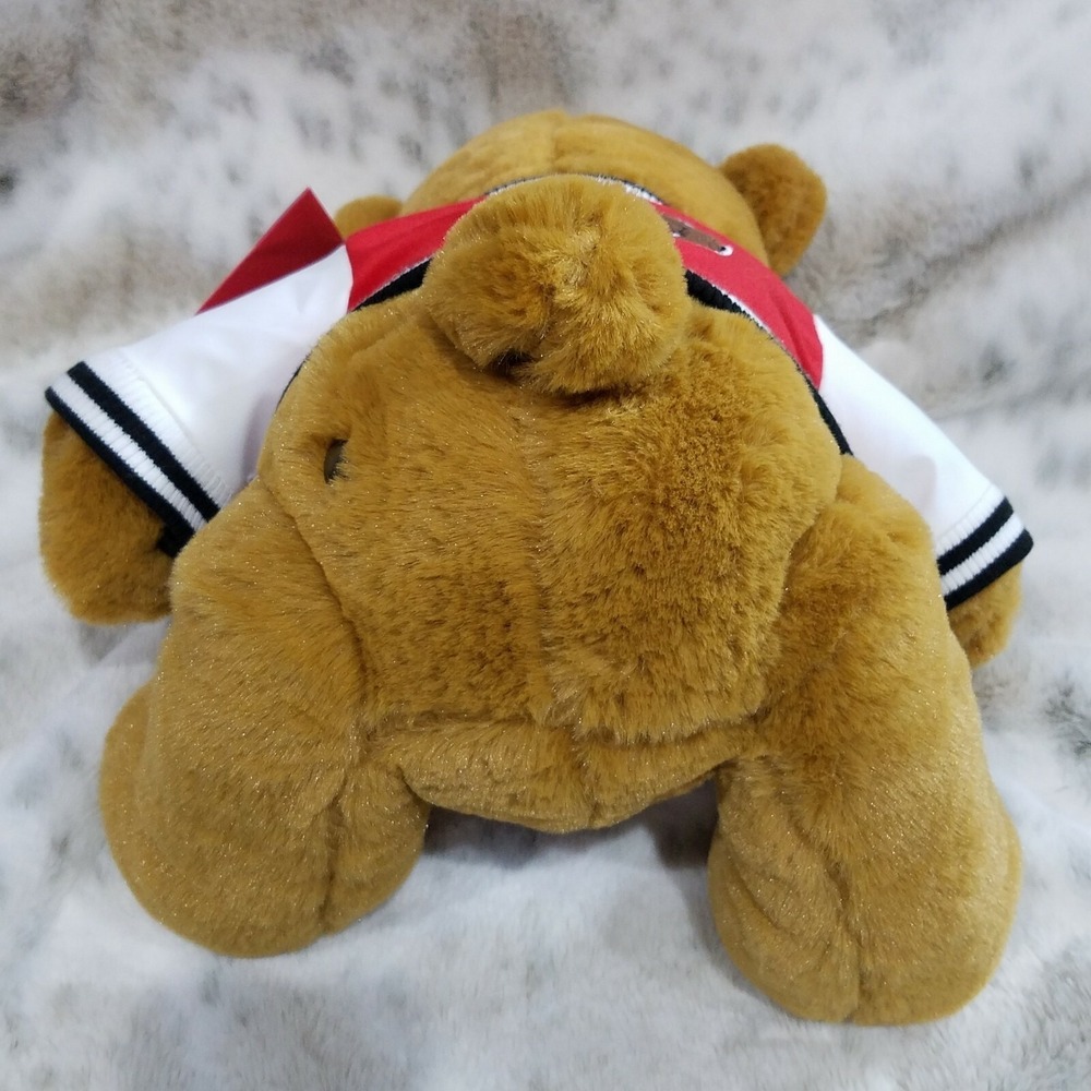 FAO Schwartz‎ Varsity Teddy Bear 12" Stuffed Animal Sealed Adoption Records Gift - Picture 5 of 8